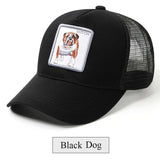 Black Snapback Baseball Cap