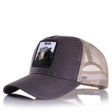 Cartoon Anime Dragon Ball Baseball Caps